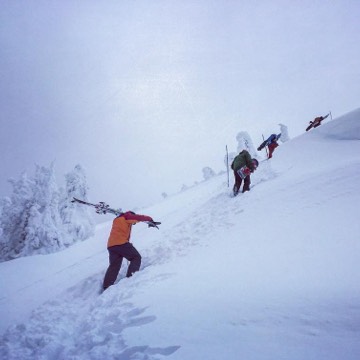 Four skiers climbing a snow covered trail at Revelstoke, 2016